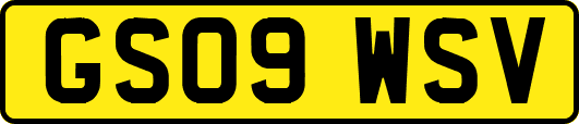 GS09WSV