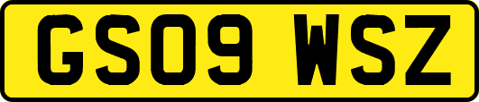 GS09WSZ