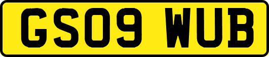 GS09WUB
