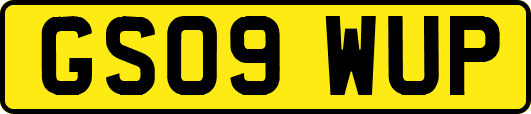 GS09WUP