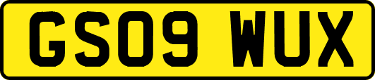 GS09WUX