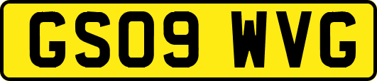 GS09WVG
