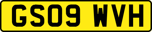 GS09WVH
