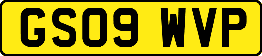 GS09WVP