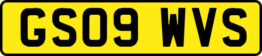 GS09WVS
