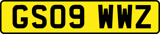 GS09WWZ
