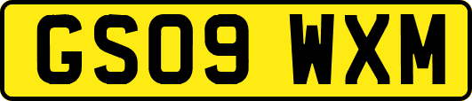 GS09WXM