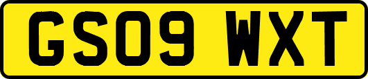 GS09WXT