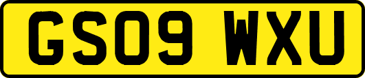 GS09WXU