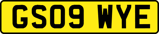 GS09WYE