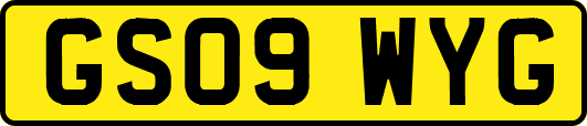 GS09WYG
