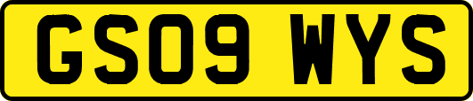 GS09WYS