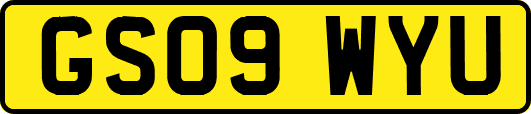 GS09WYU