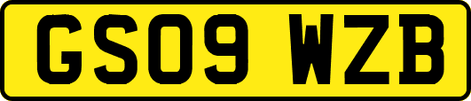 GS09WZB