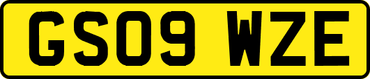 GS09WZE