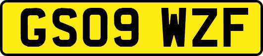 GS09WZF