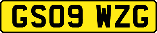 GS09WZG