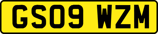 GS09WZM