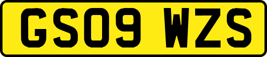 GS09WZS