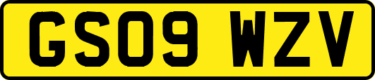 GS09WZV