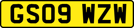 GS09WZW