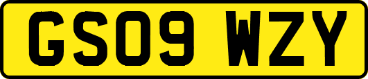 GS09WZY