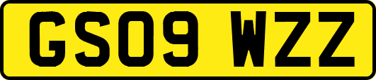 GS09WZZ