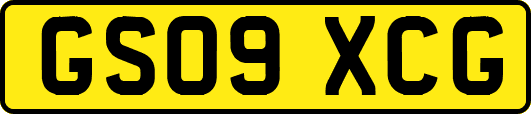 GS09XCG
