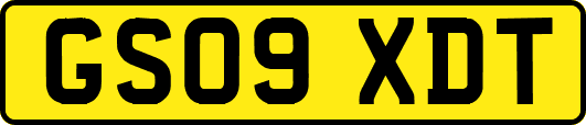 GS09XDT