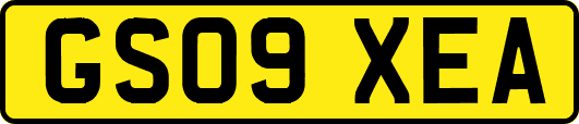GS09XEA