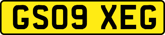 GS09XEG