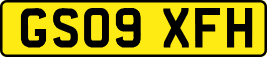 GS09XFH