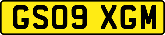GS09XGM