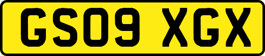 GS09XGX