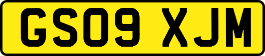GS09XJM