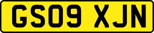 GS09XJN