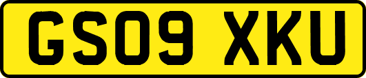 GS09XKU