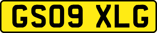 GS09XLG