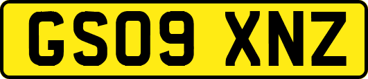 GS09XNZ