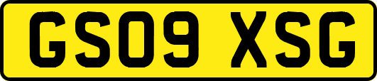 GS09XSG