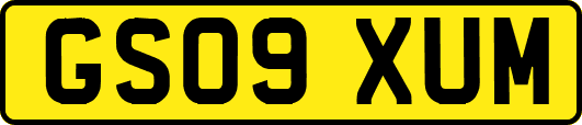 GS09XUM
