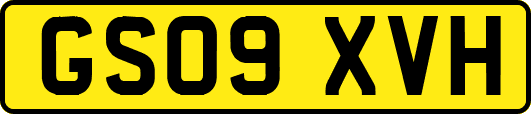 GS09XVH