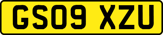 GS09XZU