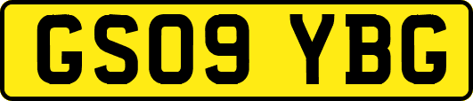 GS09YBG