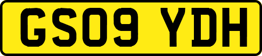 GS09YDH