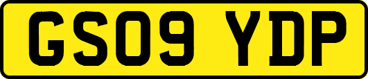 GS09YDP