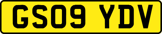 GS09YDV