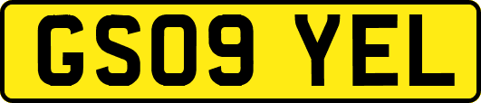 GS09YEL