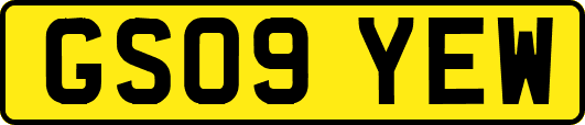 GS09YEW