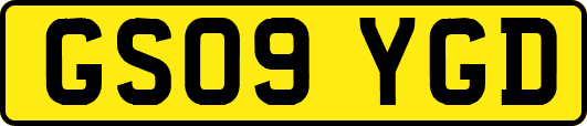 GS09YGD
